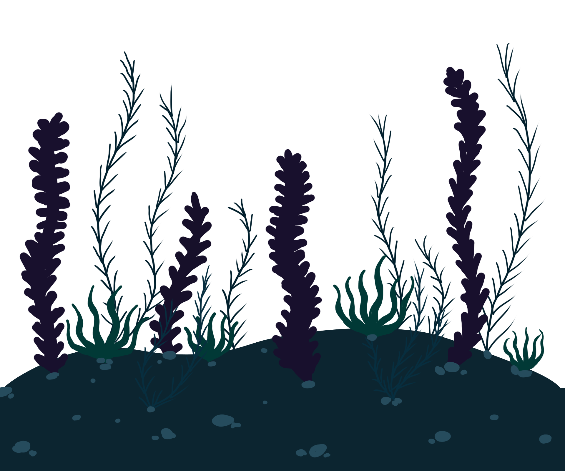 Ocean floor